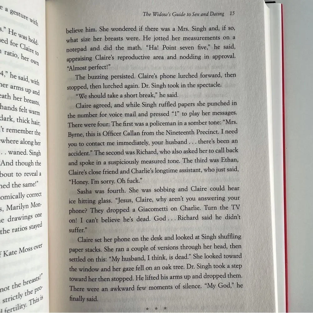 BOOK, The Widow’s Guide to Sex & Dating, a novel, 302 pages, Fiction, NOS - Picture 14 of 16
